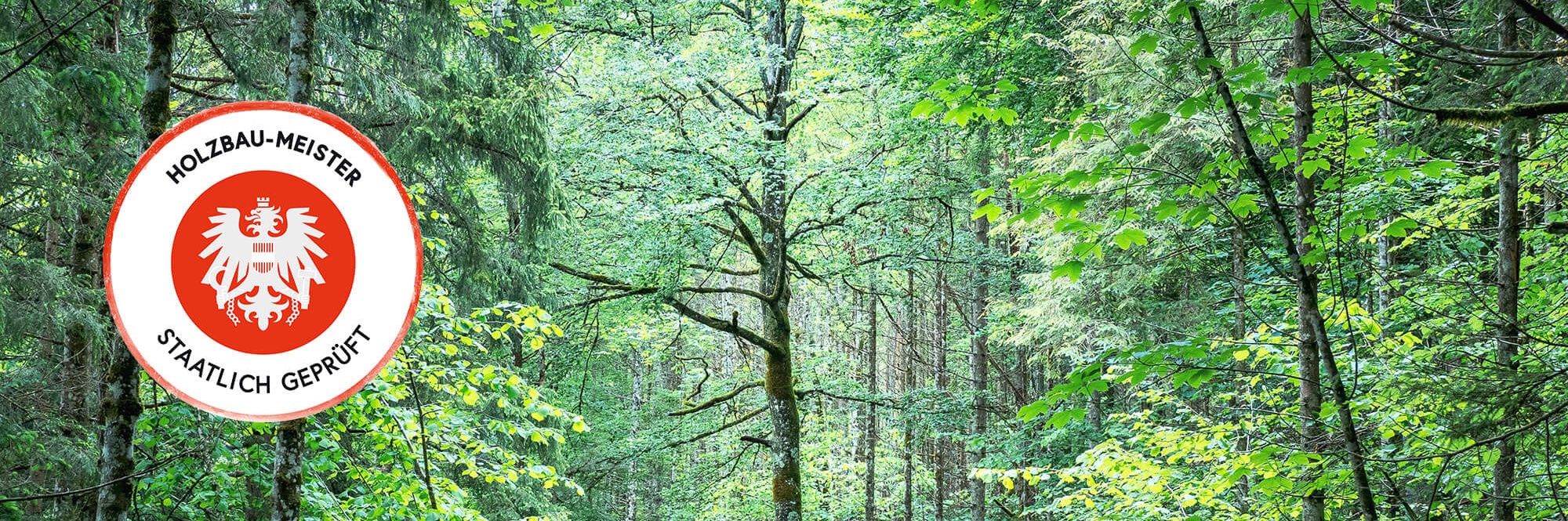Lebendiger und gesunder  grüner Wald mit Holzbau-Meister Logo im linken Bereich