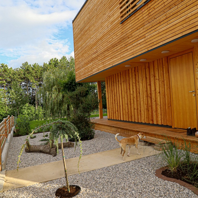 Die Stirnwand eines Hauses aus Holz und ein Vorgarten aus Kieselsteinen, in dem sich ein brauner Hund befindet