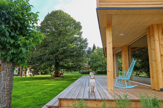 Ein Holzhaus hat eine Terrasse, auf der ein brauner Hund sitzt und einen großen Garten mit 2 Bäumen