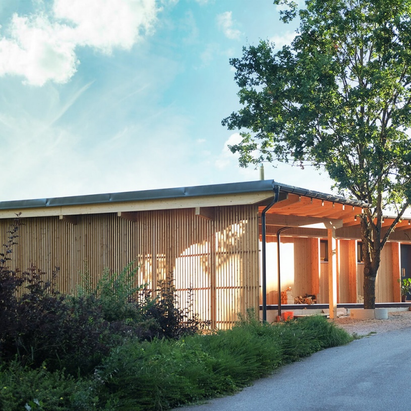 Hinter einem grünen Baum steht ein Holzhaus und davor ist eine Straße